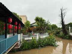-天然居(伦教店)