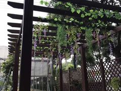 -美家乐农庄·露营·团建(大治路店)