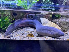 -上海海洋水族馆