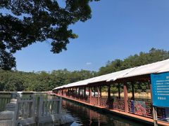 -广州市流溪河国家森林公园