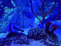 -沈阳海洋探索中心