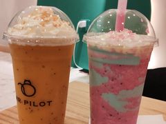 -飞行喵MR PILOT|猫舍·猫咖(静安大融城店)