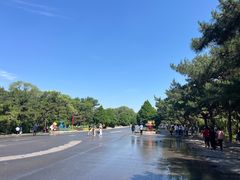 -北陵公园