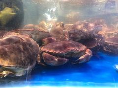 面包蟹-盒马X会员店(王府井奥莱UP TOWN店)