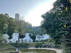 -深圳国际园林花卉博览园