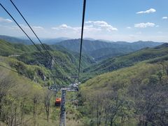-牛背梁国家森林公园