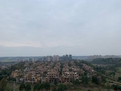 -成都蒲江花样年福朋喜来登度假酒店·宜客乐西餐厅