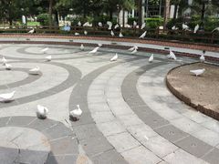 -南宫五洲植物乐园