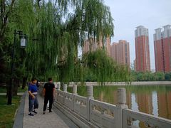 -迎泽公园