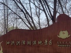 -泗洪洪泽湖湿地景区