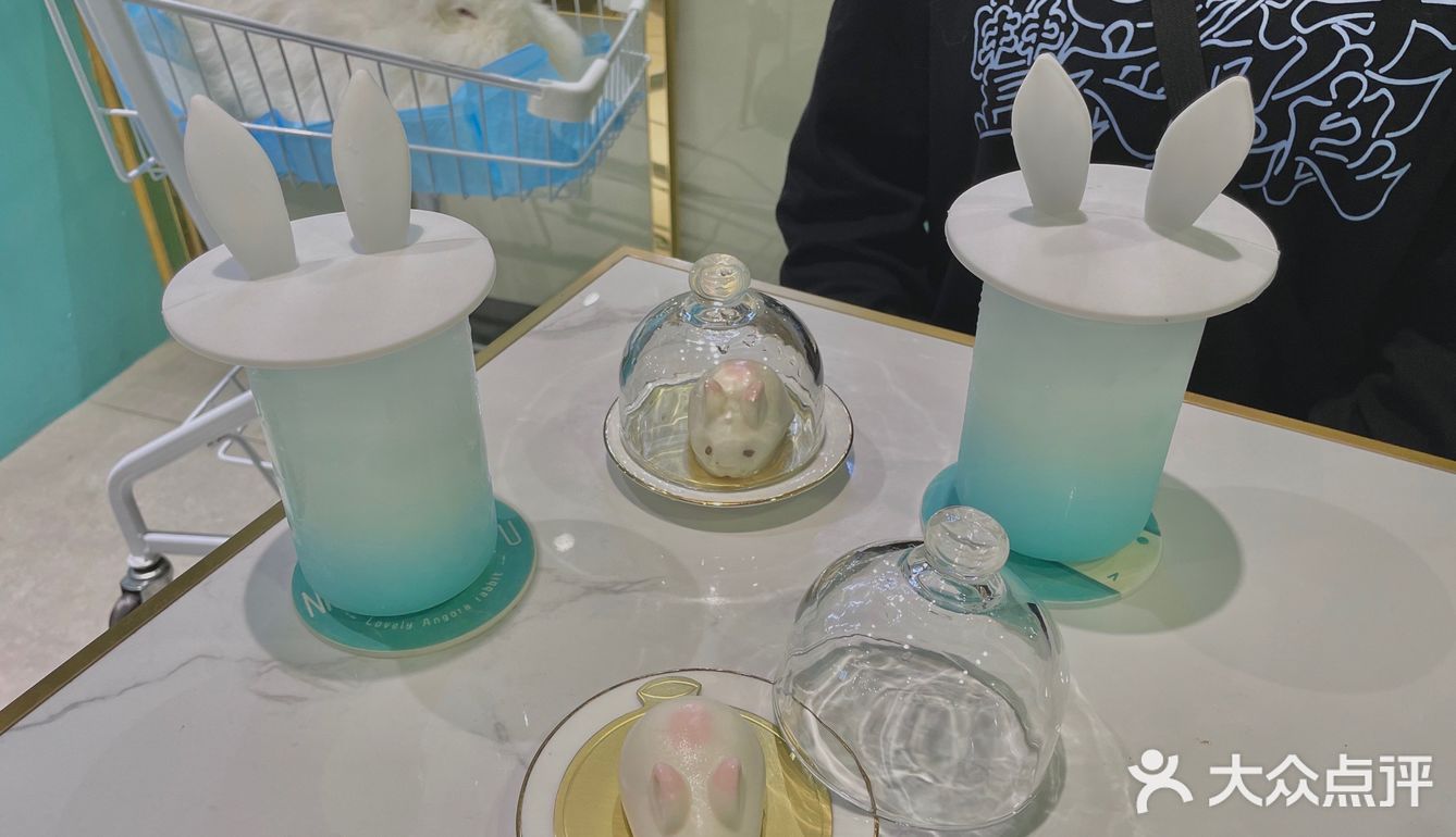 探店 | 周末来撸可爱的兔兔叭🐰