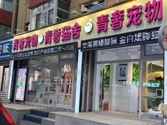 -青奢宠物·青奢猫舍