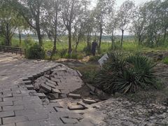 -绿堤公园