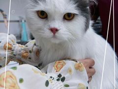 -宠颐生动物医院·小陆分院