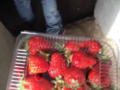 -万源龙顺度假庄园生态观光园