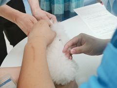 -美联众合24小时·皮肤科·外科·全科诊疗中心(华苑分院)