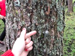 -硗碛藏寨·神木垒景区