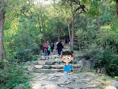 -北京鹫峰国家森林公园