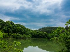 -青龙山国家森林公园