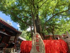 -红螺寺