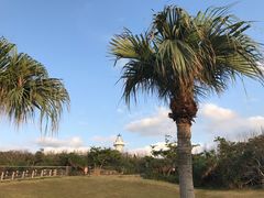 -鹅銮鼻公园