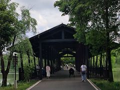 -洋湖国家湿地公园