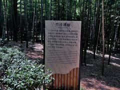 -大奇山国家森林公园