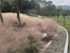 -紫阳古街