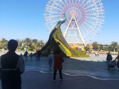 -七彩云南欢乐世界