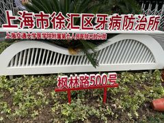 -上海市徐汇区口腔医院