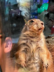 -Zoolung Zoolung动物主题公园(海信广场店)