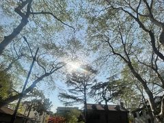 -比利时钻石文化交流中心(岳阳路店)