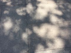 -龙华烈士纪念馆-停车场