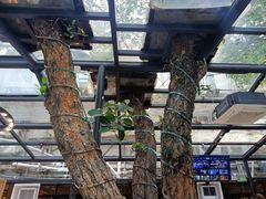 -海岛八号龙虾烧烤田鸡(蓝天路总店)