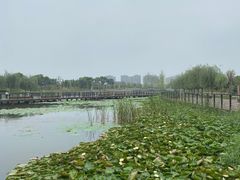 -郑东新区龙湖公共艺术中心