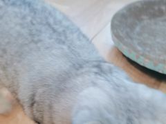 -悠米私人影院(街道口店)