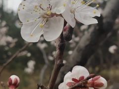 -迎泽公园