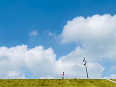 -佛手湖郊野公园