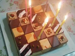 -维尔纳斯·生日蛋糕动物奶油冰淇淋蛋糕(人大店)