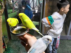 -白鹿仓冰雪海洋世界