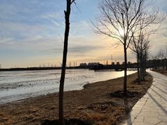 -天津东丽湖风景区