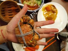 -龙之梦万丽酒店青餐厅