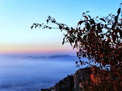 -泰山风景名胜区