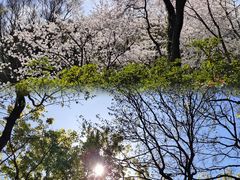 -苏州上方山国家森林公园