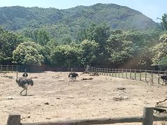 -西安秦岭野生动物园