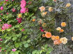 -芳华路(地铁站)