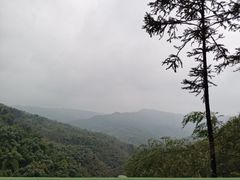 -蜀南竹海景区