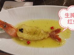 -海派悦庭·海胆烧麦·新融合菜(凯德广场店)