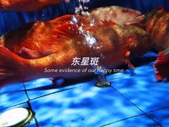 -徐记海鲜(明德门店)
