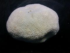 -同济大学四平路校区深海探索馆